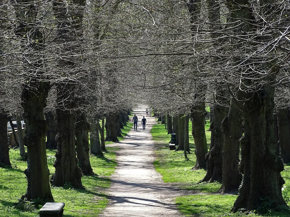 The Alameda in Ampthill