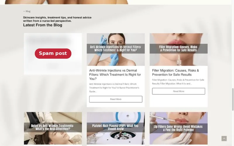 The old DA Aesthetics blog with a spam post, blurred