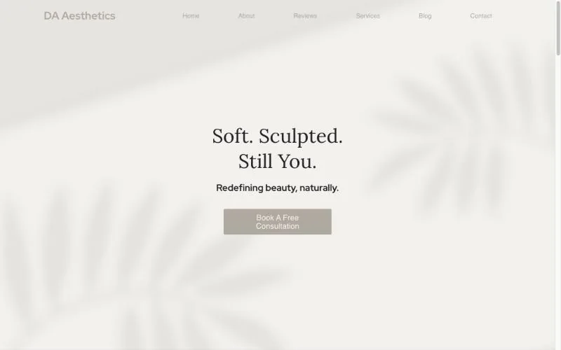 The old DA Aesthetics homepage on a computer